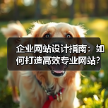 企业网站设计指南：如何打造高效专业网站？（图4）