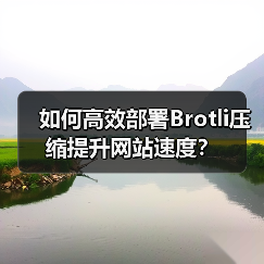 如何高效部署Brotli压缩提升网站速度？（图4）