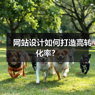 网站设计如何打造高转化率？