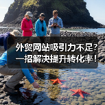 外贸网站吸引力不足？一招解决提升转化率！