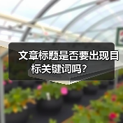 文章标题是否要出现目标关键词吗？（图2）