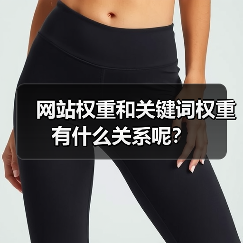 网站权重和关键词权重有什么关系呢?(图4) 网站权重和关键词权重有什么关系呢?(图4)