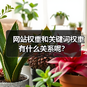 网站权重和关键词权重有什么关系呢？