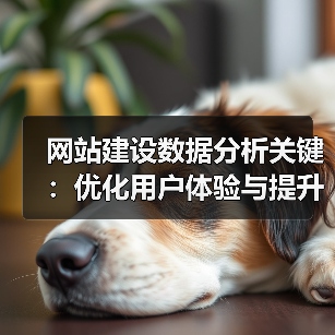 网站建设数据分析关键：优化用户体验与提升转化率（图3）