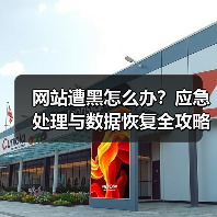 网站遭黑怎么办？应急处理与数据恢复全攻略