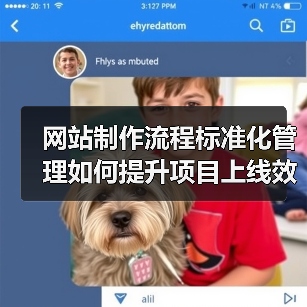 网站制作流程标准化管理如何提升项目上线效率？（图2）