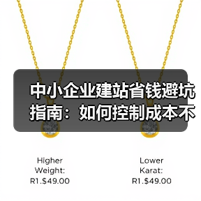 中小企业建站省钱避坑指南：如何控制成本不超支？（图2）