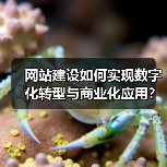 网站建设如何实现数字化转型与商业化应用？（图3）