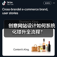创意网站设计如何系统化提升全流程?(图4) 创意网站设计如何系统化提升全流程?(图4)