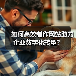 如何高效制作网站助力企业数字化转型？
