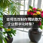 如何高效制作网站助力企业数字化转型？（图3）