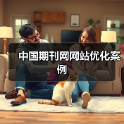 中国期刊网网站优化案例