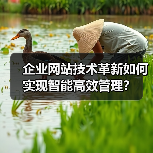 企业网站技术革新如何实现智能高效管理？（图3）