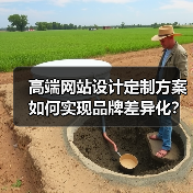 高端网站设计定制方案如何实现品牌差异化？（图4）