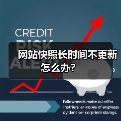 网站快照长时间不更新怎么办？