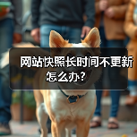 网站快照长时间不更新怎么办？（图3）