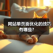 网站单页面优化的技巧有哪些?（图4）