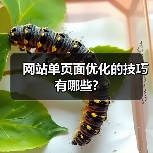 网站单页面优化的技巧有哪些?（图3）