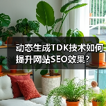 动态生成TDK技术如何提升网站SEO效果？（图4）