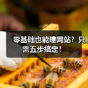 零基础也能建网站？只需五步搞定！