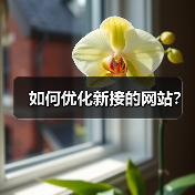 如何优化新接的网站？（图3）