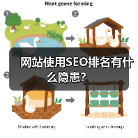 网站使用SEO排名有什么隐患？（图4）