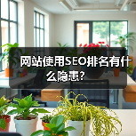 网站使用SEO排名有什么隐患？（图3）