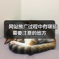 网站推广过程中有哪些需要注意的地方（图3）
