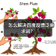 怎么解决百度反馈泛需求词？