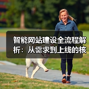 智能网站建设全流程解析：从需求到上线的核心步骤（图3）