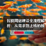 智能网站建设全流程解析：从需求到上线的核心步骤（图4）