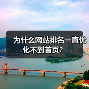 为什么网站排名一直优化不到首页？（图2）