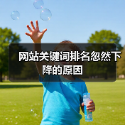 网站关键词排名忽然下降的原因（图4）