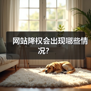 网站降权会出现哪些情况？（图4）