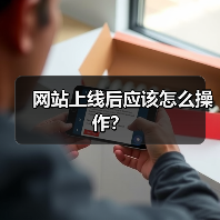 网站上线后应该怎么操作？（图4）