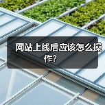 网站上线后应该怎么操作？（图2）