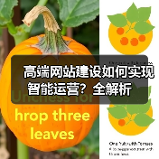 高端网站建设如何实现智能运营？全解析
