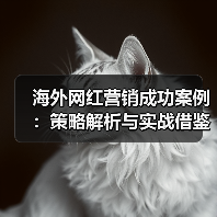 海外网红营销成功案例：策略解析与实战借鉴（图2）