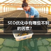 SEO优化中有哪些不利的因素？（图4）