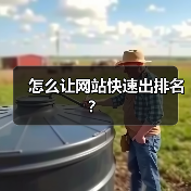 怎么让网站快速出排名？