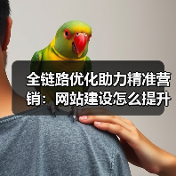 全链路优化助力精准营销：网站建设怎么提升转化？（图3）