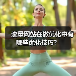 流量网站在做优化中有哪些优化技巧？