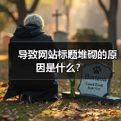 导致网站标题堆砌的原因是什么？（图2）