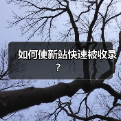 如何使新站快速被收录？（图2）