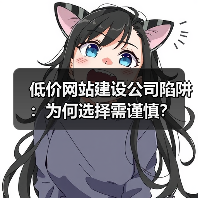 低价网站建设公司陷阱：为何选择需谨慎？（图3）