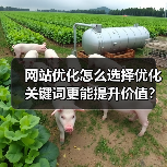 网站优化怎么选择优化关键词更能提升价值？（图2）