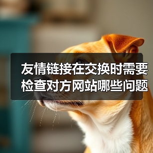友情链接在交换时需要检查对方网站哪些问题呢？