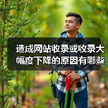造成网站收录或收录大幅度下降的原因有哪些？（图3）