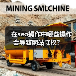 在seo操作中哪些操作会导致网站降权？（图2）