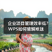 企业项目管理效率低？WPS如何破解难题（图2）